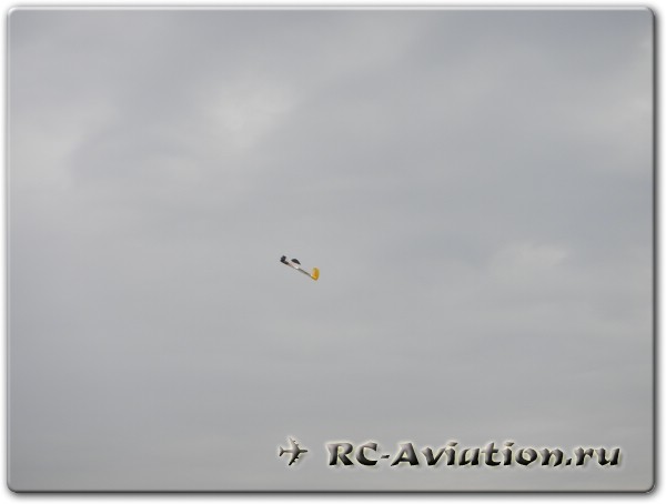 авиамодели в небе, встреча пользователей сайта RC-Aviation.ru