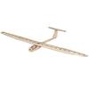 DW Wing Griffin 1550mm Wingspan Balsa Wood Glider RC Airplane KIT